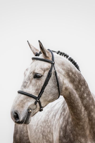 Toèmme de Regor Z Toèmme de Regor Z