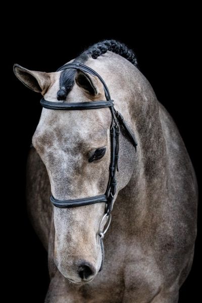 Toèmme de Regor Z Toèmme de Regor Z