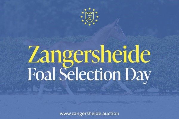 Foal Selection Day General Foal Selection Day General