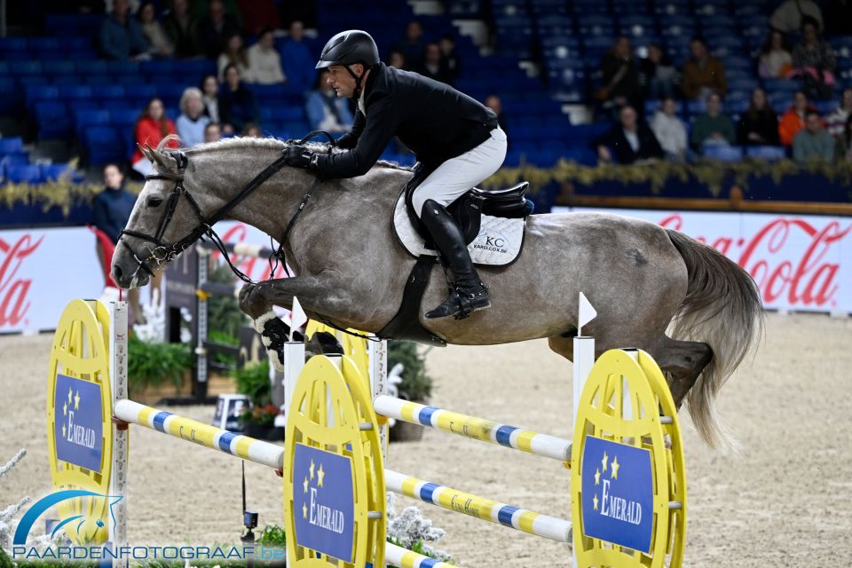 Double Fun Marienshof Z - Karel Cox - ©Paardenfotograaf Double Fun Marienshof Z - Karel Cox - ©Paardenfotograaf