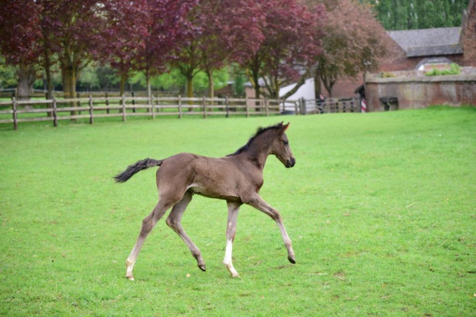 nieuws-trinidad-dsc7767-middel nieuws-trinidad-dsc7767-middel