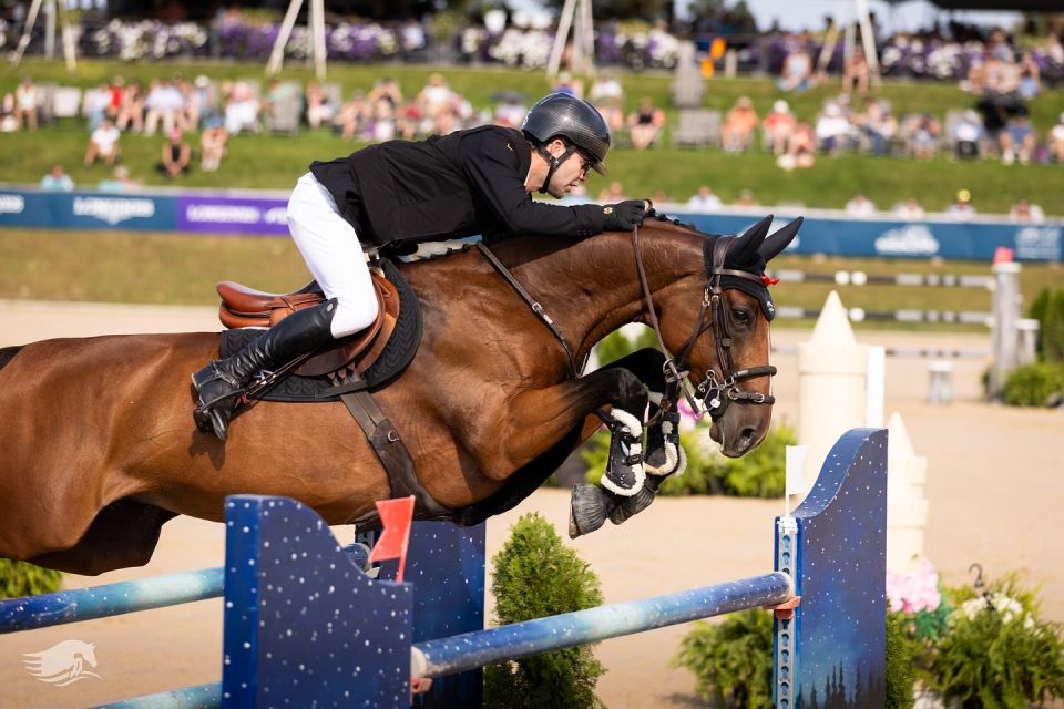 Melusina BVL Z - Samuel Hutton - ©Traverse City Horse Shows (1)