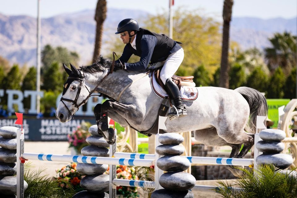 Zibaloubet Z - Matt Archer - ©Desert International Horse Park