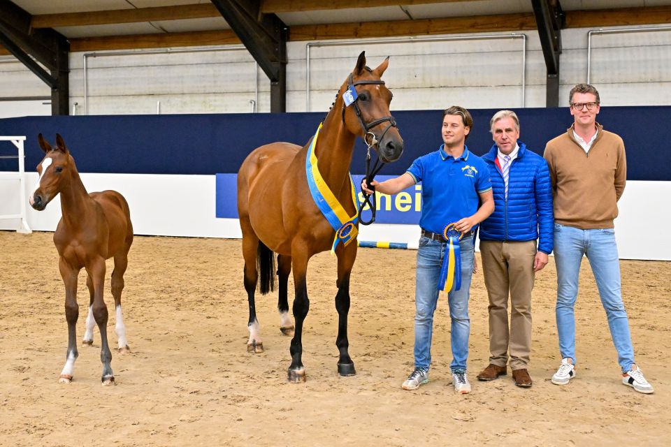 All In Z _ Aganix du Seigneur Z_Breeder A. van Diepen_Jury Heinz Meyer_Tom Lemmens@paardenfotograaf All In Z _ Aganix du Seigneur Z_Breeder A. van Diepen_Jury Heinz Meyer_Tom Lemmens@paardenfotograaf