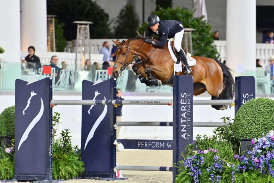 Toulayna - Kent Farrington - ©Andrew Ryback Photography - Ocala (2)