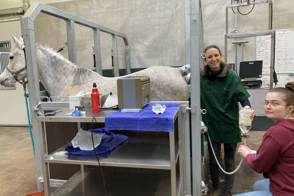 Marieke aan het werk@facebook Marieke aan het werk@facebook