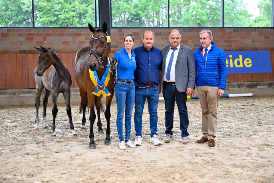 Zangersheide Foal Championship Germany_Winner  (Groot)