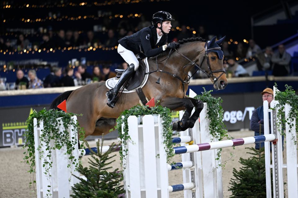 Gin Flip de Muze Z - Thibeau Spits - ©Paardenfotograaf Gin Flip de Muze Z - Thibeau Spits - ©Paardenfotograaf