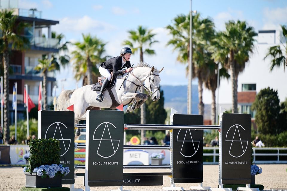 Vamos de La Pomme d'Or Z - Bart Jay Junior Vandecasteele - ©Hervé Bonnaud