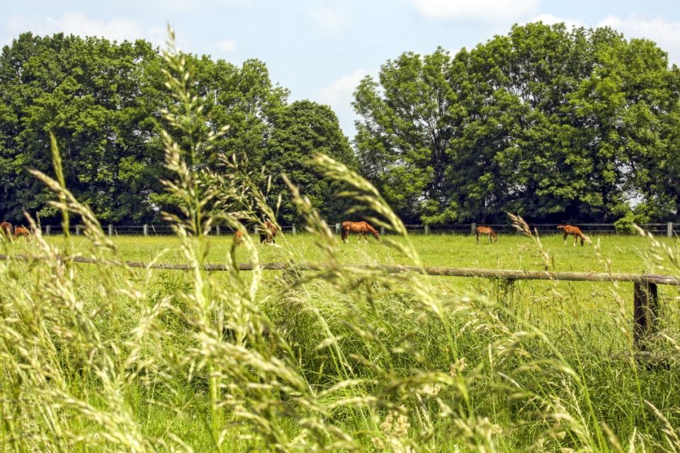 nieuws-180424175abfa4-middel nieuws-180424175abfa4-middel