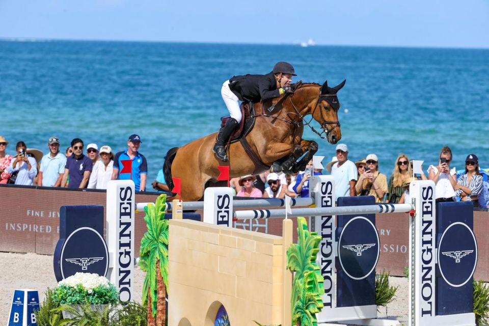 Beauville Z N.O.P. Beauville Z N.O.P.