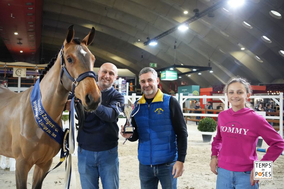 Camille du Maillet Z - ©Jumping Mechelen - Temps des Poses (1) Camille du Maillet Z - ©Jumping Mechelen - Temps des Poses (1)