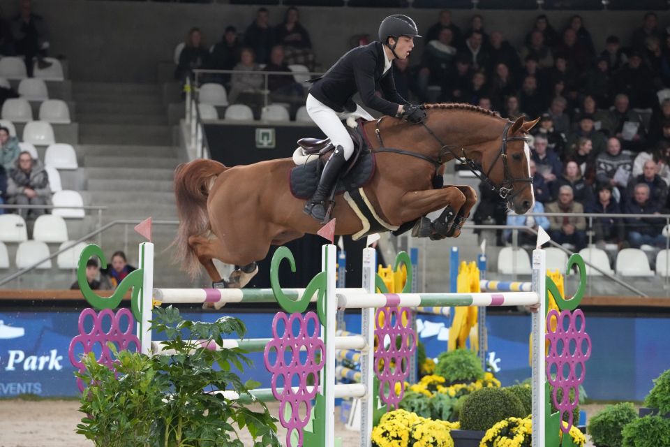 Seppe Wouters - Quito de Mariposa - ©Sportfot - The Zangersheide International (1)