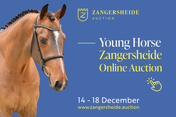 banner website auction december