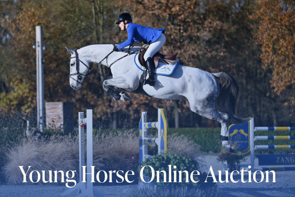 Online Auction Young Horses April 2025