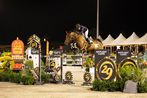 Kalimera Van De Nethe Z - Keri Potter - ©Desert International Horse Park Kalimera Van De Nethe Z - Keri Potter - ©Desert International Horse Park