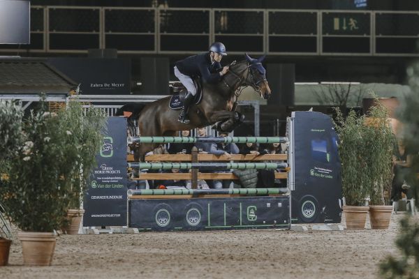 Belle Amie vd Dassenheide Z - Wilm Vermeir - ©Zahra De Meyer Belle Amie vd Dassenheide Z - Wilm Vermeir - ©Zahra De Meyer