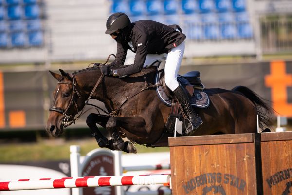 Daido van ’t Ruytershof Z - James Chawke - ©Thunderbird Show Park