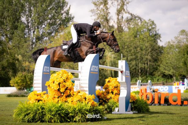 Daido van ’t Ruytershof Z - James Chawke - © Thunderbird Show Park - Kim Gaudry