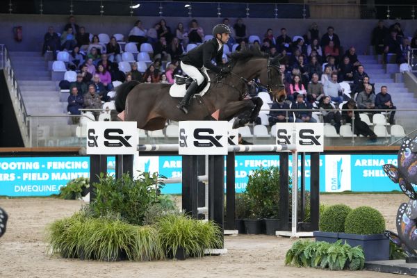 Michael Viehweg - Contario - ©Sportfot - The Zangersheide International