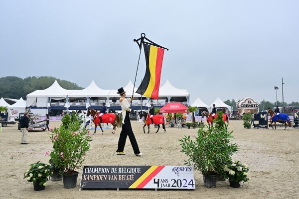 Belgisch Kampioenschap 4-jarige paarden 2024