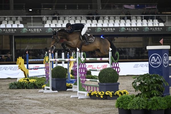 Lars Kuster - Heaven Of Romance - ©Paardenfotograaf