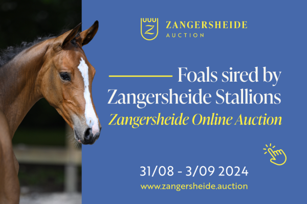 Auction Z-Stallions