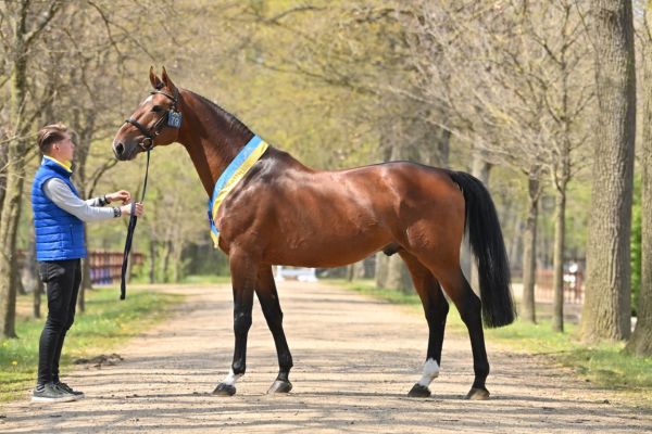 Denzel van het Meulenhof20210507-GA7_0871 (Middel) Denzel van het Meulenhof20210507-GA7_0871 (Middel)