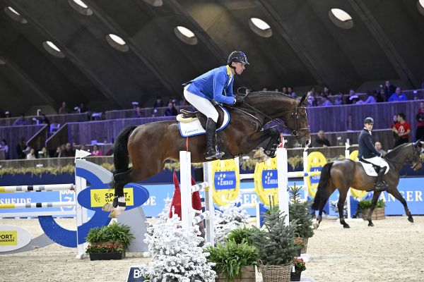 Dacantos Boy Z - Christian Ahlmann - ©Paardenfotograaf