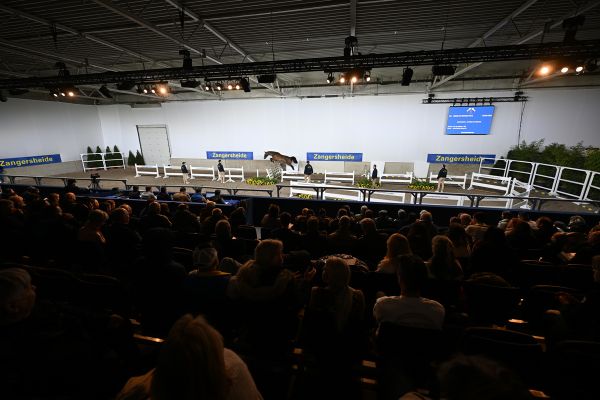 Zangerheide hengstenkeuring - Sfeer - ©Paardenfotograaf