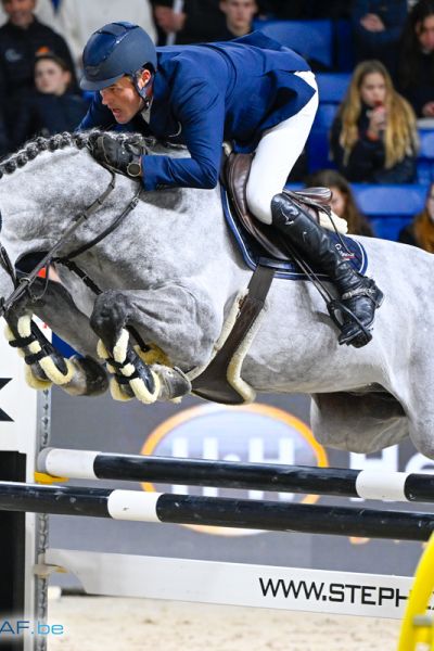 Constantino Van 't Ravennest - Wim Vinckx - ©Paardenfotograaf