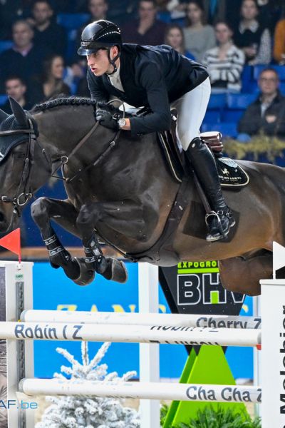 Obama de la Liniere - Thibault Philippaerts - ©Paardenfotograaf