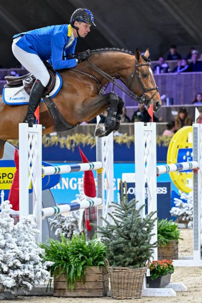 Ansingh de Lis Z - Christian Ahlmann - ©Paardenfotograaf (2)